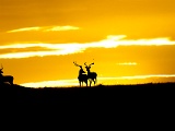 Lever de soleil - Sunrise